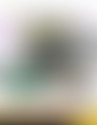 ⭐️โปรโมชั่น Himalayan 450 ⭐️