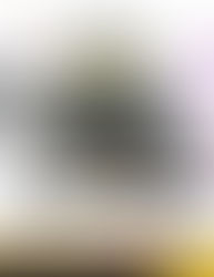 โปรโมชั่น Hunter 350⭐️