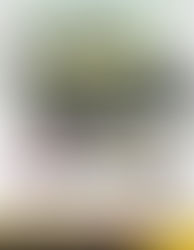 ⭐️โปรโมชั่น Classic 350 2025⭐️