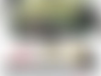 ⭐️โปรโมชั่น Interceptor 650⭐️