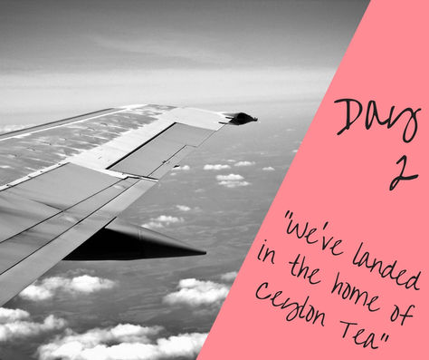 Day 2 - "We've Landed in the Home of Ceylon Tea"
