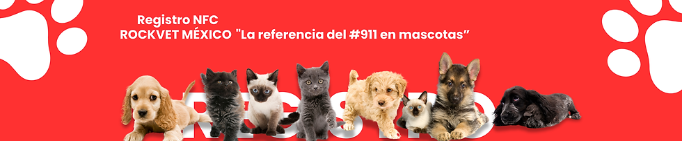 CHIP DE IDENTIFICACIÓN (3840 x 800 px) (1).png