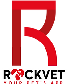 rockve méxico icono