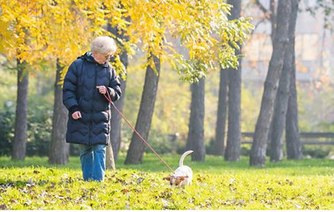 La importancia de tener una rutina con tu mascota_ CLÍNICA VETERINARIA DEL BOSQUE 2.jpg