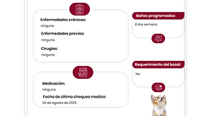 White Dusk Blue And Nile Blue Geometric Web Design And Development Presentation (13).png