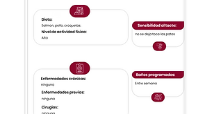 White Dusk Blue And Nile Blue Geometric Web Design And Development Presentation (12).png