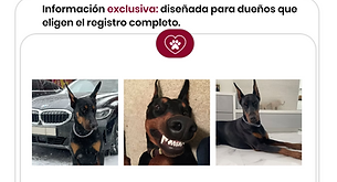 White Dusk Blue And Nile Blue Geometric Web Design And Development Presentation (11).png