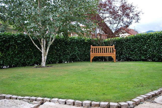 Garten pflegeleicht Sichtschutz