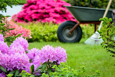 Gartenpflege Dünung