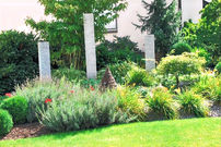 Gepflegter Vorgarten mit Staudenbeet, Rasenfläche und klarer Gartengestaltung in Haslach im Kinzigtal