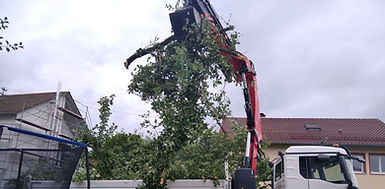 LKW Kran Grünabfälle in der Nähe Offenburg Freiburg Ortenau