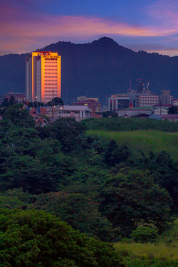 _MG_2993