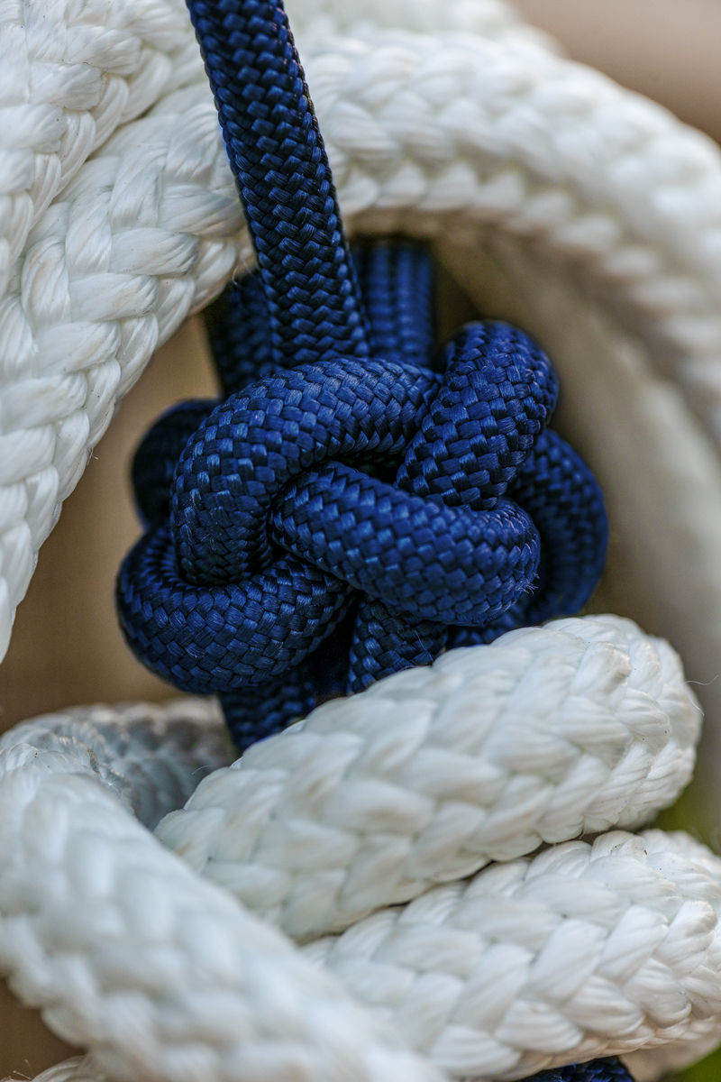 Miniaturbild: Set Halfter und Bodenarbeitseil