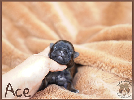 photo-output (18).jpeg