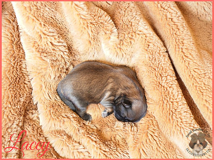 photo-output (17).jpeg