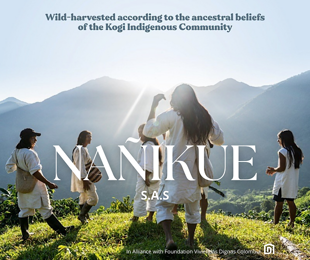 NAÑIKUE POSTER.png