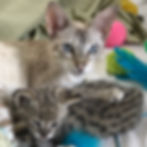 leeloo n baby kendi.jpg