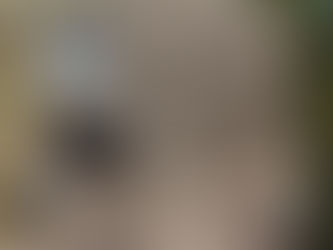 11/28-29湯河原幕岩