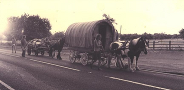 horsedrawn03.png