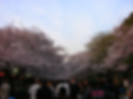 Ueno park