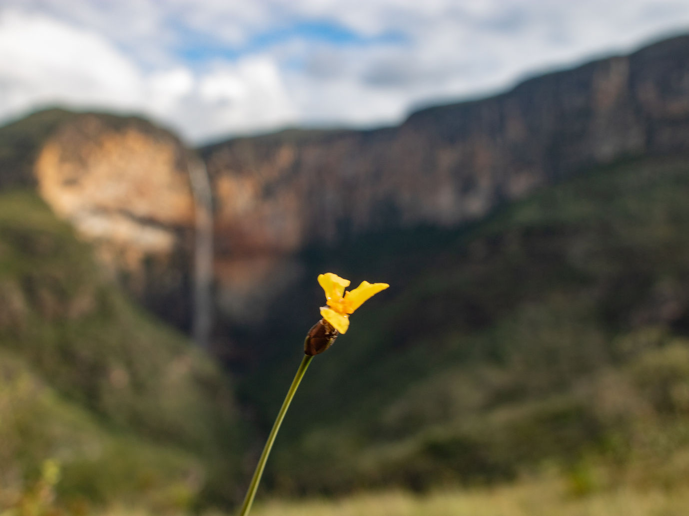 Lapinha x tabuleiro - Terra Trekking 2019-107.JPG