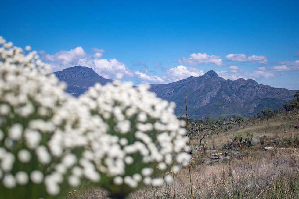 Miniatura: TRAVESSIA ITAMBÉ x RIO PRETO (ENTREPARQUES)