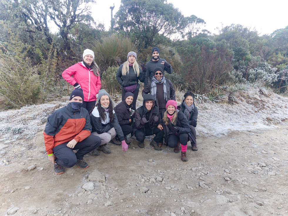 Miniatura: PICO DAS AGULHAS NEGRAS