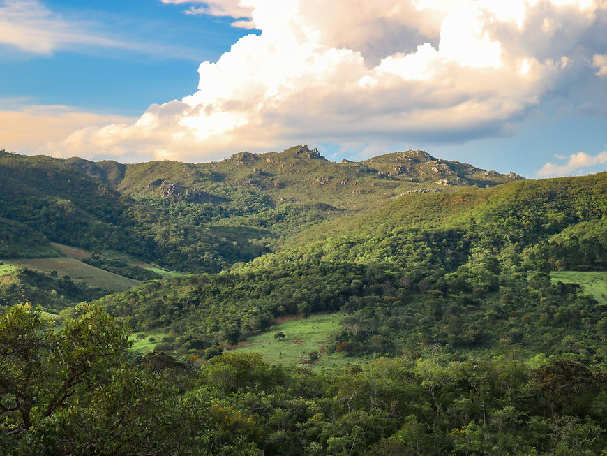Parque do Rio Preto-100.jpg