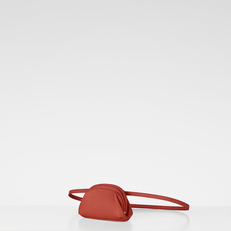 Thumbnail: Galleta Mini Red