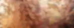 Banner2.webp