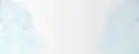Background White.webp