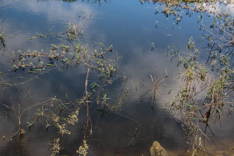 Lake.jpg