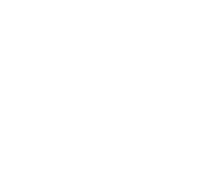 icon1.webp