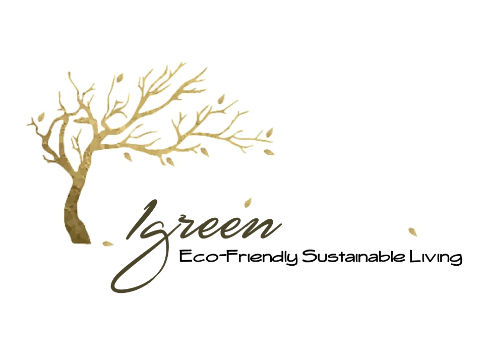 1green BioEthanol Fireplaces / Hermanus / 1green Ethanol