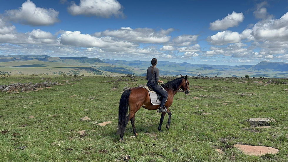 WhatsApp Image 2026-01-27 at 15.22.41.jpeg