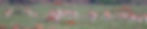 66348185_1252912754856316_6488132070131367936_n.jpg
