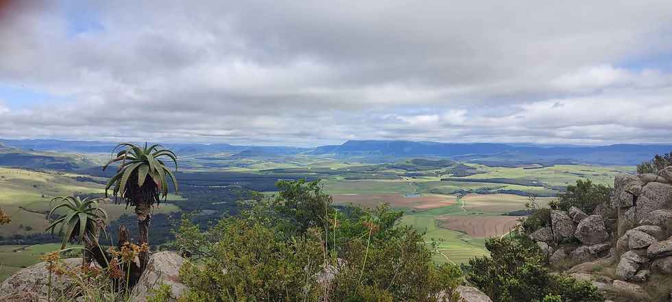 WhatsApp Image 2026-01-08 at 10.39.30 (4).jpeg