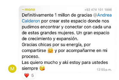 Captura de pantalla 2024-05-15 a la(s) 10.36.39 a.m..png