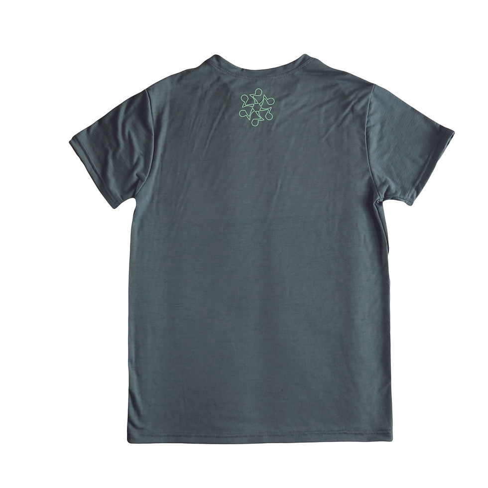 Sličica: Moška majica s kratkimi rokavi Merino logo