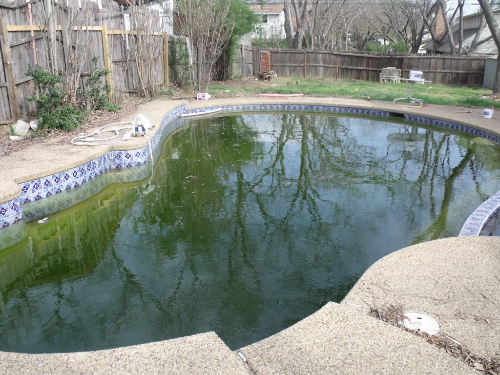 Water Revival