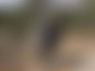 March/April 2022 Ministry Update