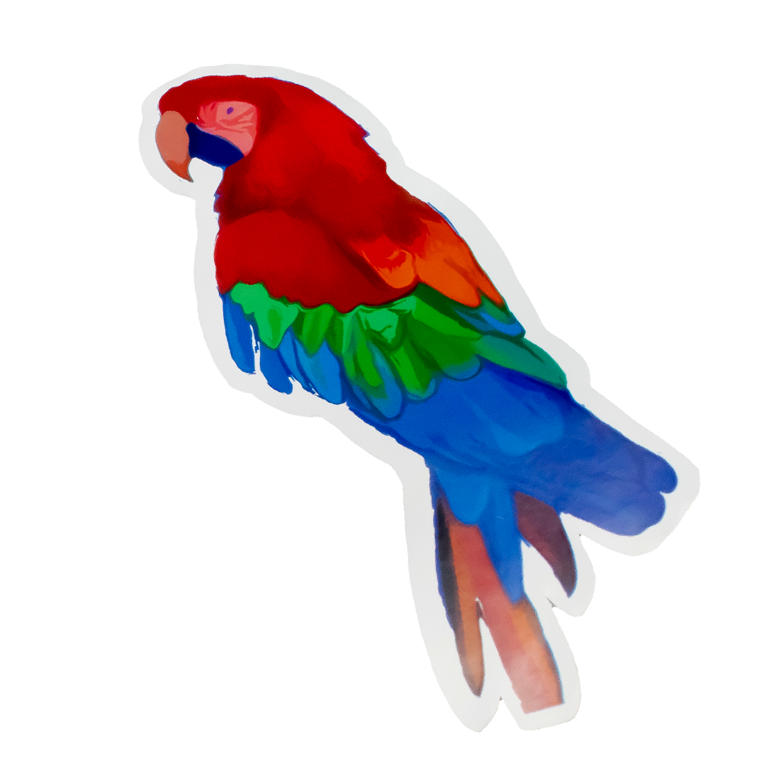 Guacamaya