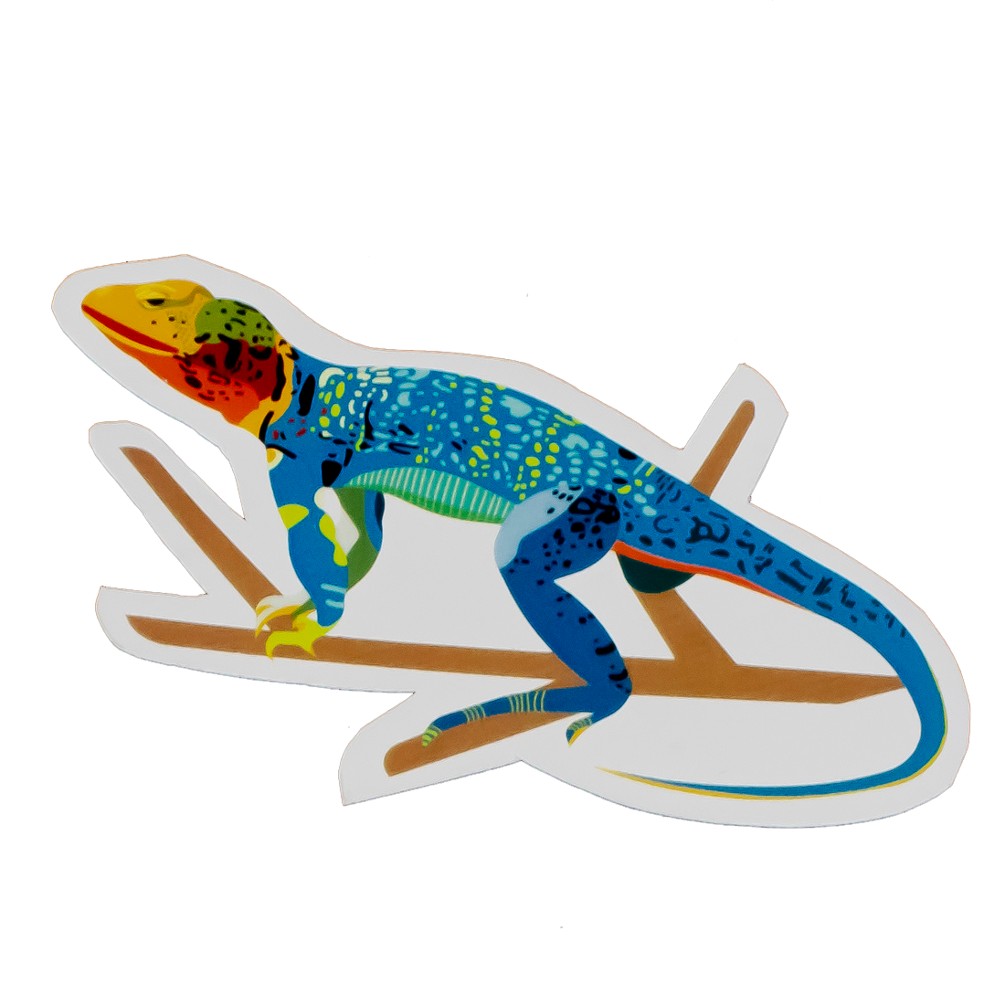 Lagarto de collar