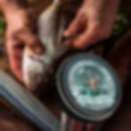 Man_Hand_Fish_Product_1.jpg