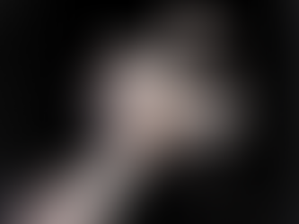 The Space Shuttle Challenger Catastrophe