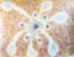 Virus Burst
