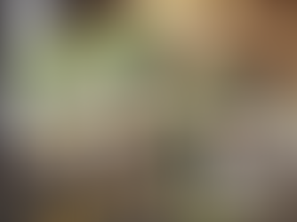 Business on the Legacy Ladder