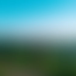 Person standing on a mountain or horizon at sunrise looking forward