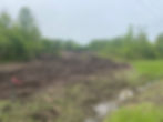 I am taking photos of the whole new house construction process. Clearing away the bushes and trees (mostly dead ash and invasive like buckthorn) got completed today. . The red ties show where the driveway will go; with the town's requirement we needed a huge raised septic bed, we had to do a lot more clearing than planned and move the house back another one hundred feet. Still the property looks gorgeous and will be even more so once we can begin the process of restoring native shrubs, trees, perennials and a meadow to the property.  We drove Bob's four wheeler back to where the house will be. It is very wooded still at the back of the property and along the left side of the driveway to the stream and the feeling there is wild and beautiful. 