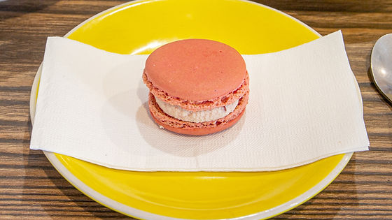 Raspberry & Cream Macarons